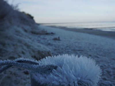 Holiday house Meeresbraut - Environment photo 24