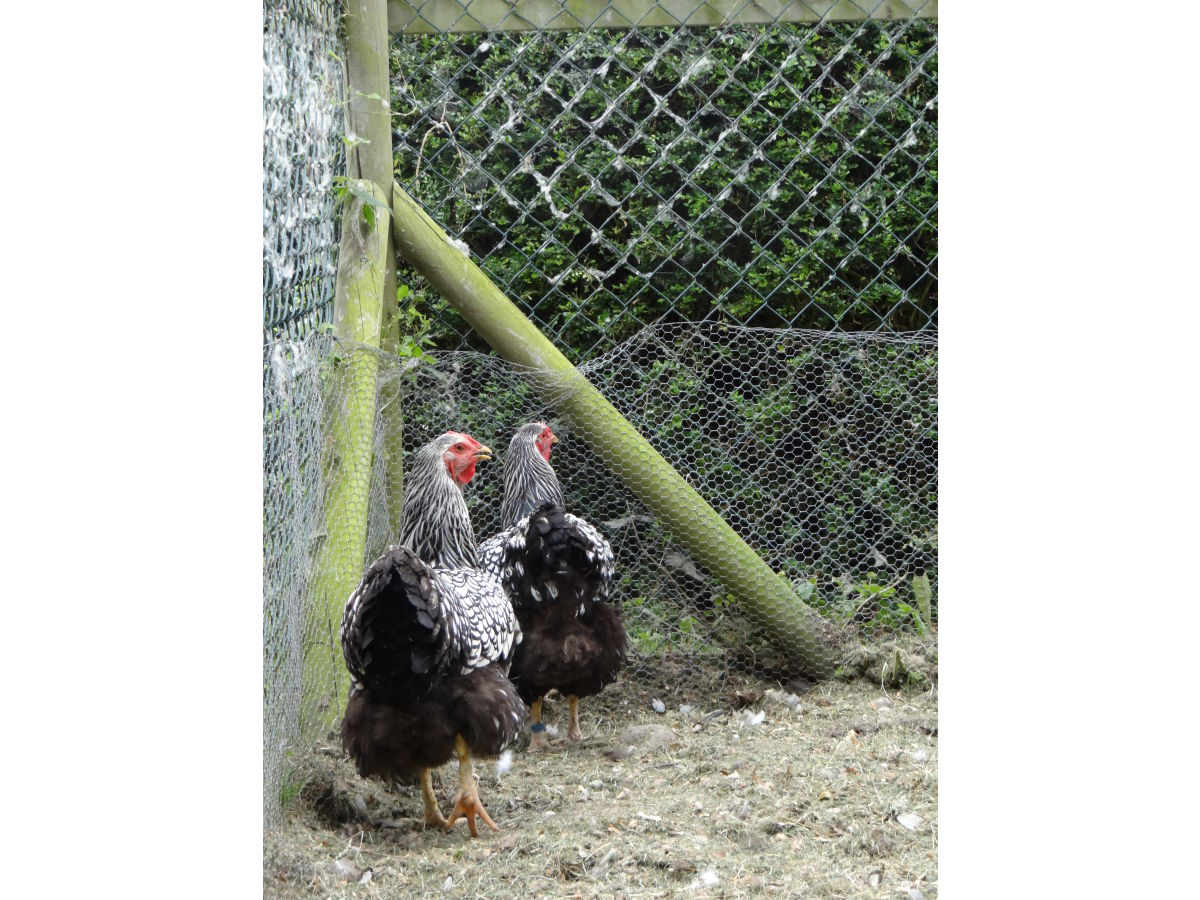 Holiday apartment Studio 8 - Outdoor photo 4