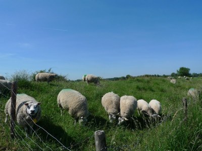 Holiday apartment Studio 8 - Environment photo 15