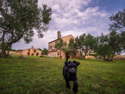 Villa Oliva - Outdoor photo 4