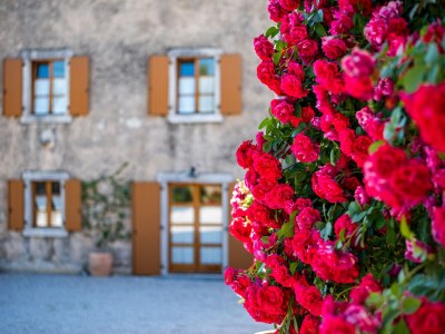 Villa Oliva - Outdoor photo 10