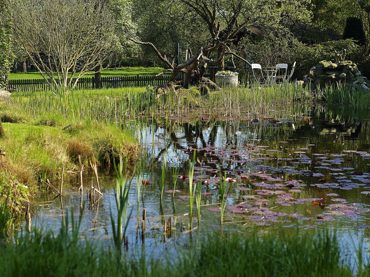 Holiday house Landlust - Outdoor photo 5