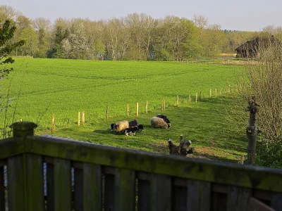 Holiday house Landlust - Outdoor photo 4