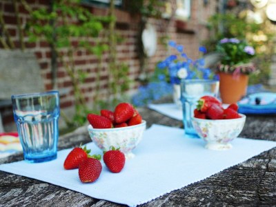 Holiday house Landlust - Outdoor photo 7