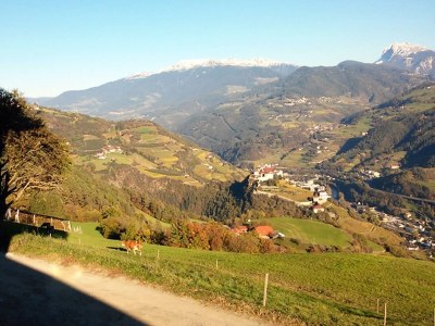 Holiday apartment Finggeneislerhof - Outdoor photo 6
