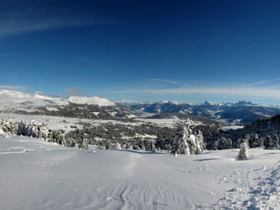 Holiday apartment Finggeneislerhof - Environment photo 16