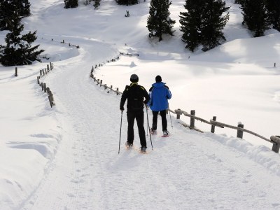 Holiday apartment Finggeneislerhof - Environment photo 17