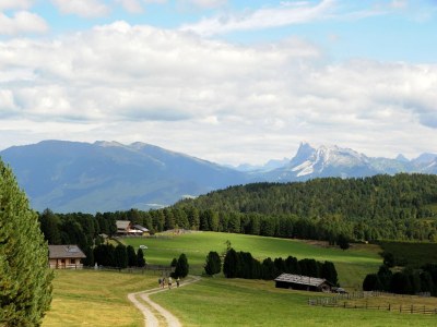 Holiday apartment Finggeneislerhof - Environment photo 18