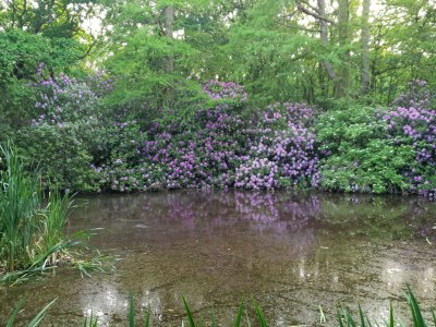 Holiday apartment 72 Oostkapelle - Environment photo 18