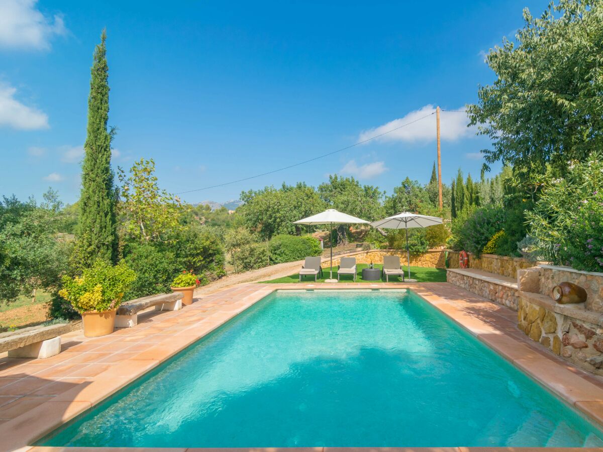 Finca Es Garroveral 3