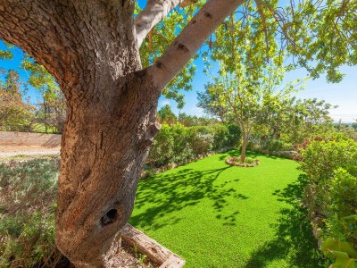 Finca Es Garroveral 3 - Outdoor photo 10