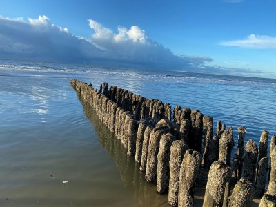 Holiday apartment Hüs LIL - Environment photo 27