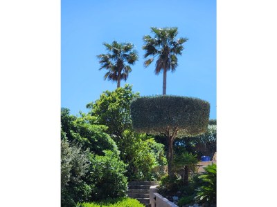 Holiday house Villa Pierrugues - Outdoor photo 5