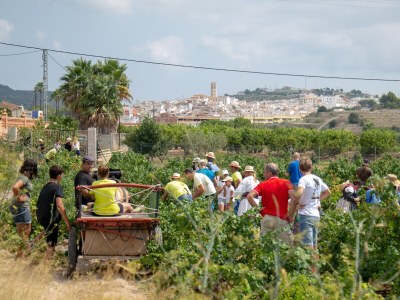 Villa Magdalena - Environment photo 30