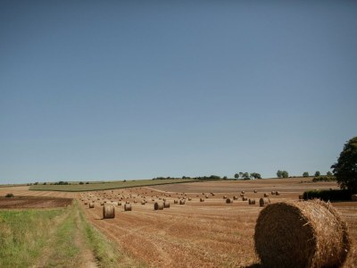 Holiday house Charmantes Chalet mit Garten und Teichblick - Environment photo 18