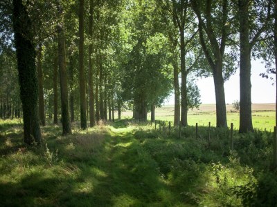Holiday house Charmantes Chalet mit Garten und Teichblick - Environment photo 19