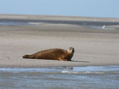Holiday house Charmantes Chalet mit Garten und Teichblick - Environment photo 23