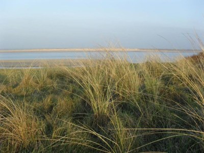 Holiday house Charmantes Chalet mit Garten und Teichblick - Environment photo 34