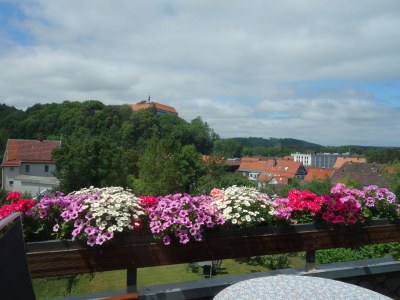 Cottage Harzer Landhaus - Outdoor photo 10