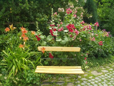 Cottage Harzer Landhaus - Outdoor photo 11