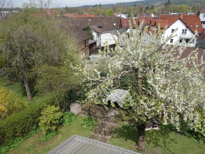 Cottage Harzer Landhaus - Features photo 30