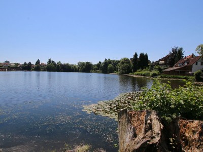 Cottage Harzer Landhaus - Environment photo 31