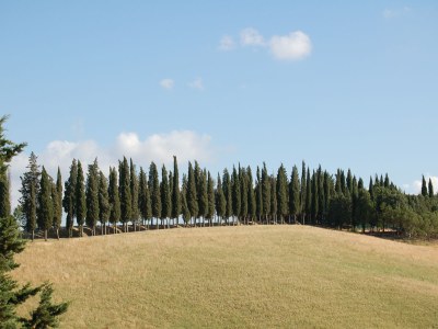 Holiday house La Ginestra - Environment photo 15