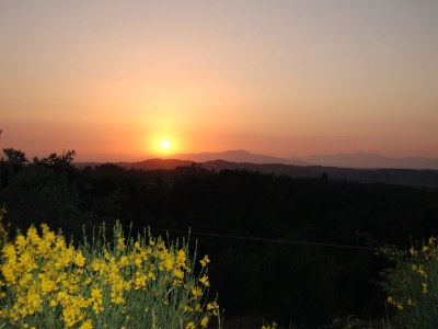 Holiday house La Ginestra - Environment photo 17