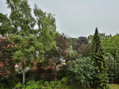 Holiday apartment Carpe Diem Appartement 141 - Environment photo 43