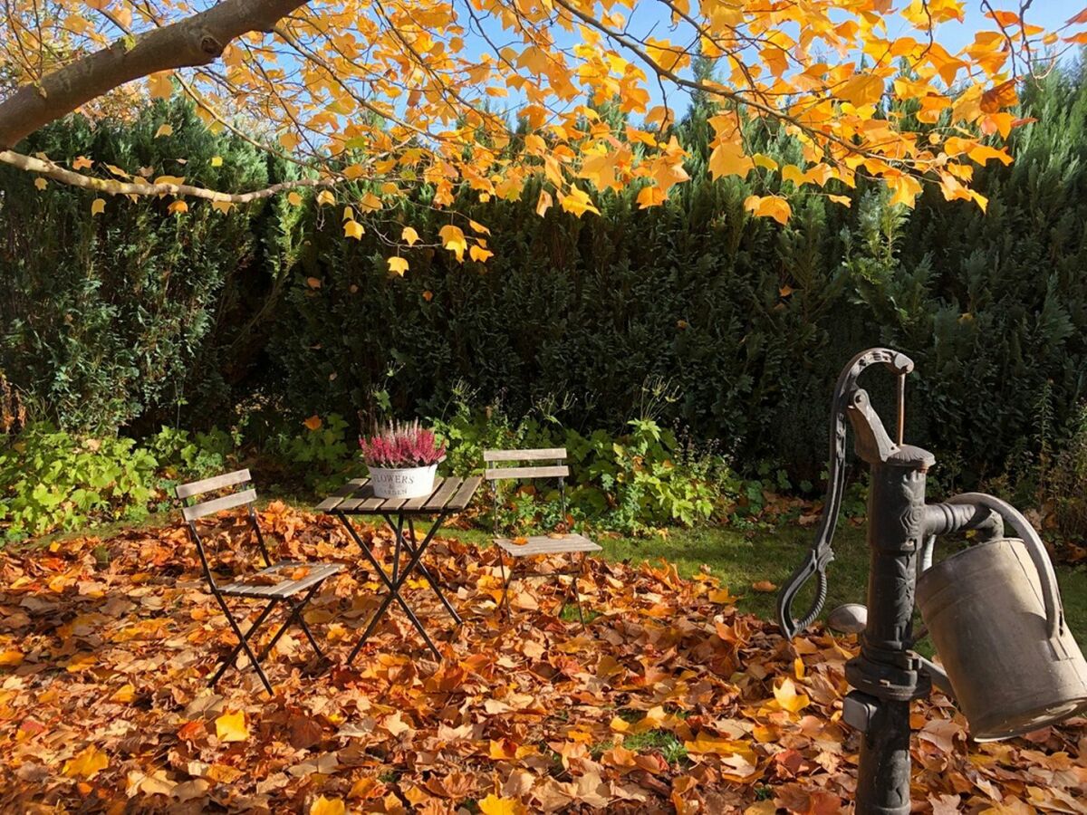 Holiday apartment Haus Schwalbennest - Outdoor photo 3