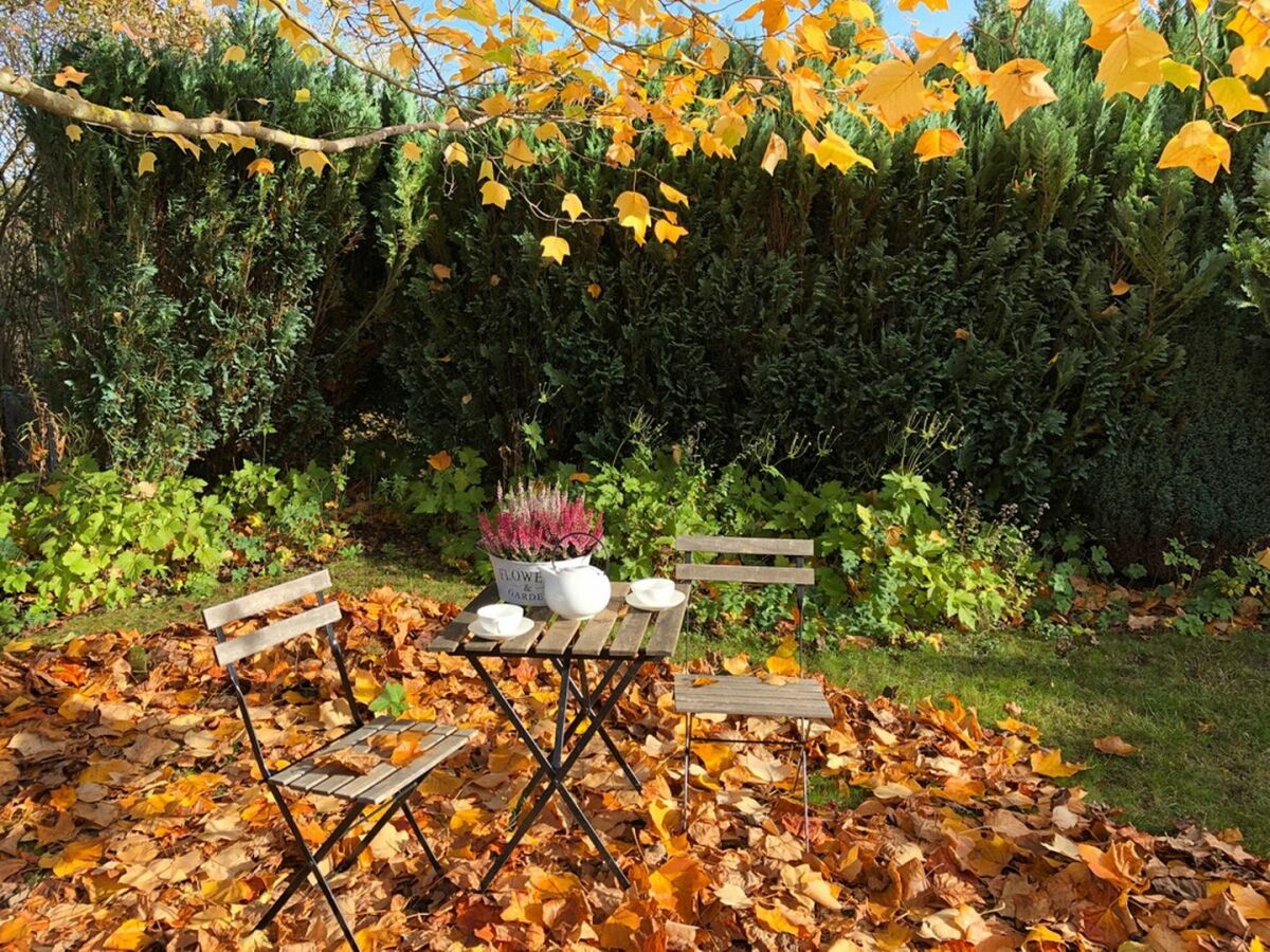 Holiday apartment Haus Schwalbennest - Outdoor photo 4