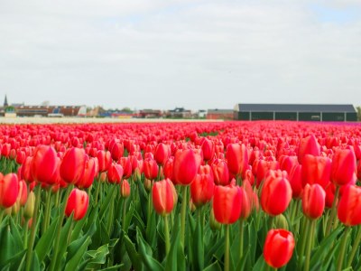 Holiday house The Backway - Environment photo 19