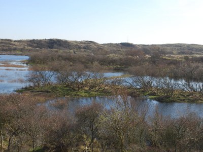 Holiday house The Backway - Environment photo 20