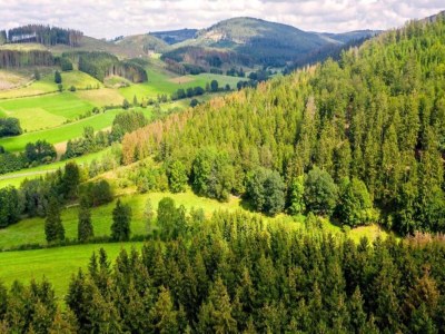 Holiday house Ferienhaus mit Weitblick bei Medebach - Environment photo 37