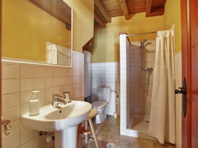 Cottage Mansion with Pool & Terrace - Features photo 18