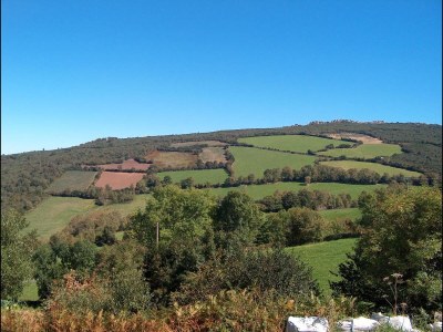 Cottage Mansion with Pool & Terrace - Environment photo 35