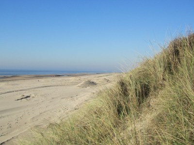 Holiday apartment Bakkums Voorhuisje - Environment photo 11