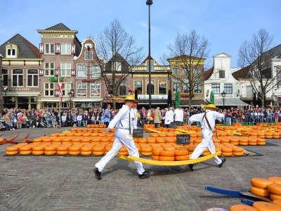 Holiday apartment Bakkums Voorhuisje - Environment photo 18