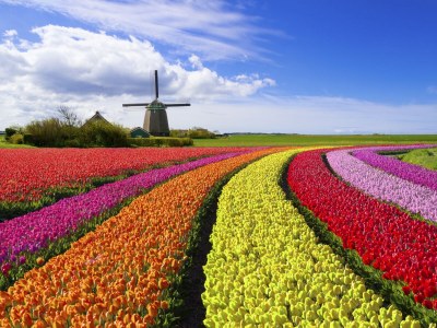 Holiday apartment Bakkums Voorhuisje - Environment photo 19