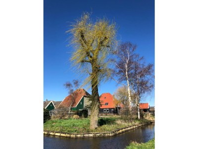 Holiday apartment Bakkums Voorhuisje - Environment photo 20