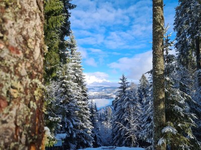 Holiday apartment Bollenhut - Environment photo 32