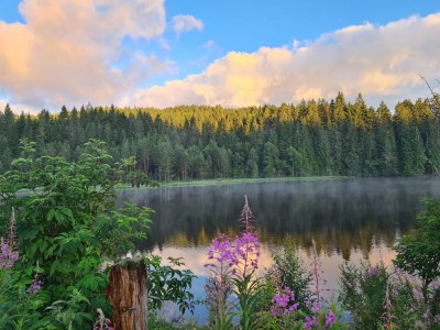 Holiday apartment Bollenhut - Environment photo 33