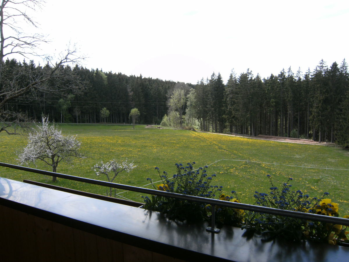 Farmhouse Ober-Kaltenbronnhof - Outdoor photo 2