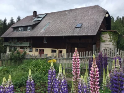 Farmhouse Ober-Kaltenbronnhof in St.Georgen - Farmhouse