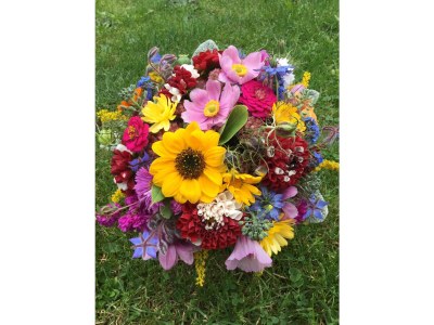 Farmhouse Ober-Kaltenbronnhof - Outdoor photo 7