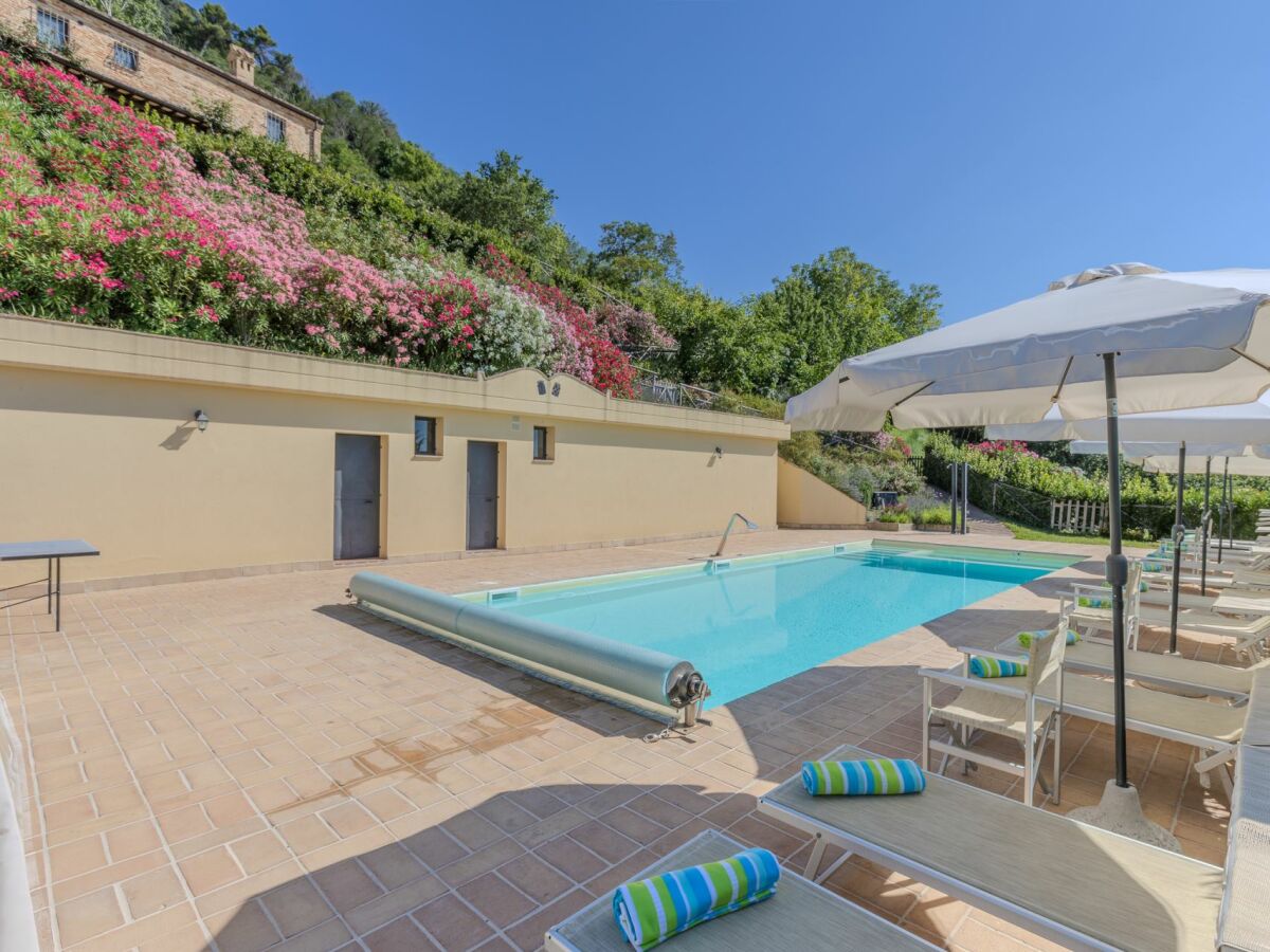 Villa Torre - Outdoor photo 5