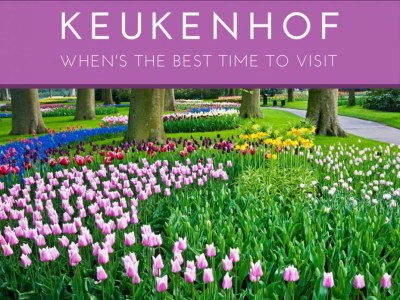 Apartment Berrie's Sea View - Environment photo 24