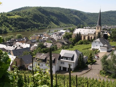 Holiday apartment Guesthouse "Zur Kirchlay" - Environment photo 16