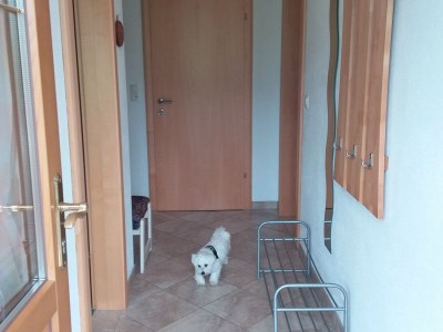 Holiday apartment Fußalm - Features photo 17