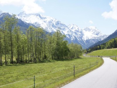 Apartment Chalet in Austria near Ski Slopes & Nature - Environment photo 28